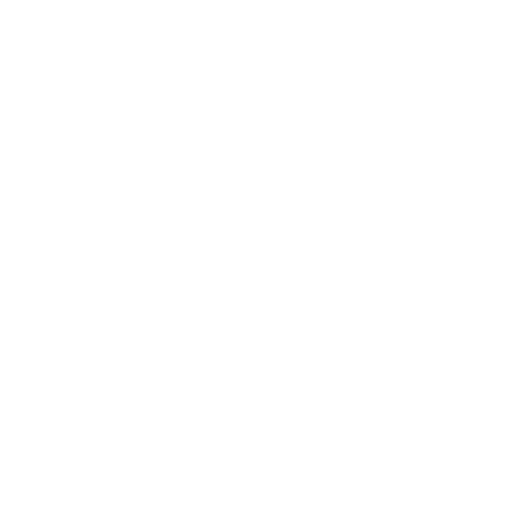 Digital Tribe